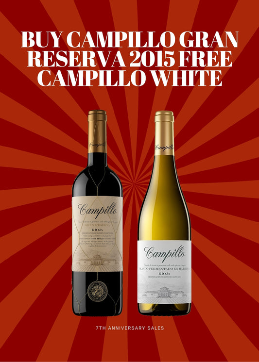 Best Pair Bundle Campillo Gran Reserva 2015- James Suckling 94 points