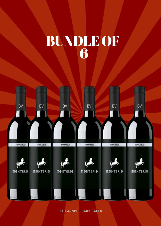 Monterio Tinto Bundle (6 Bottles)