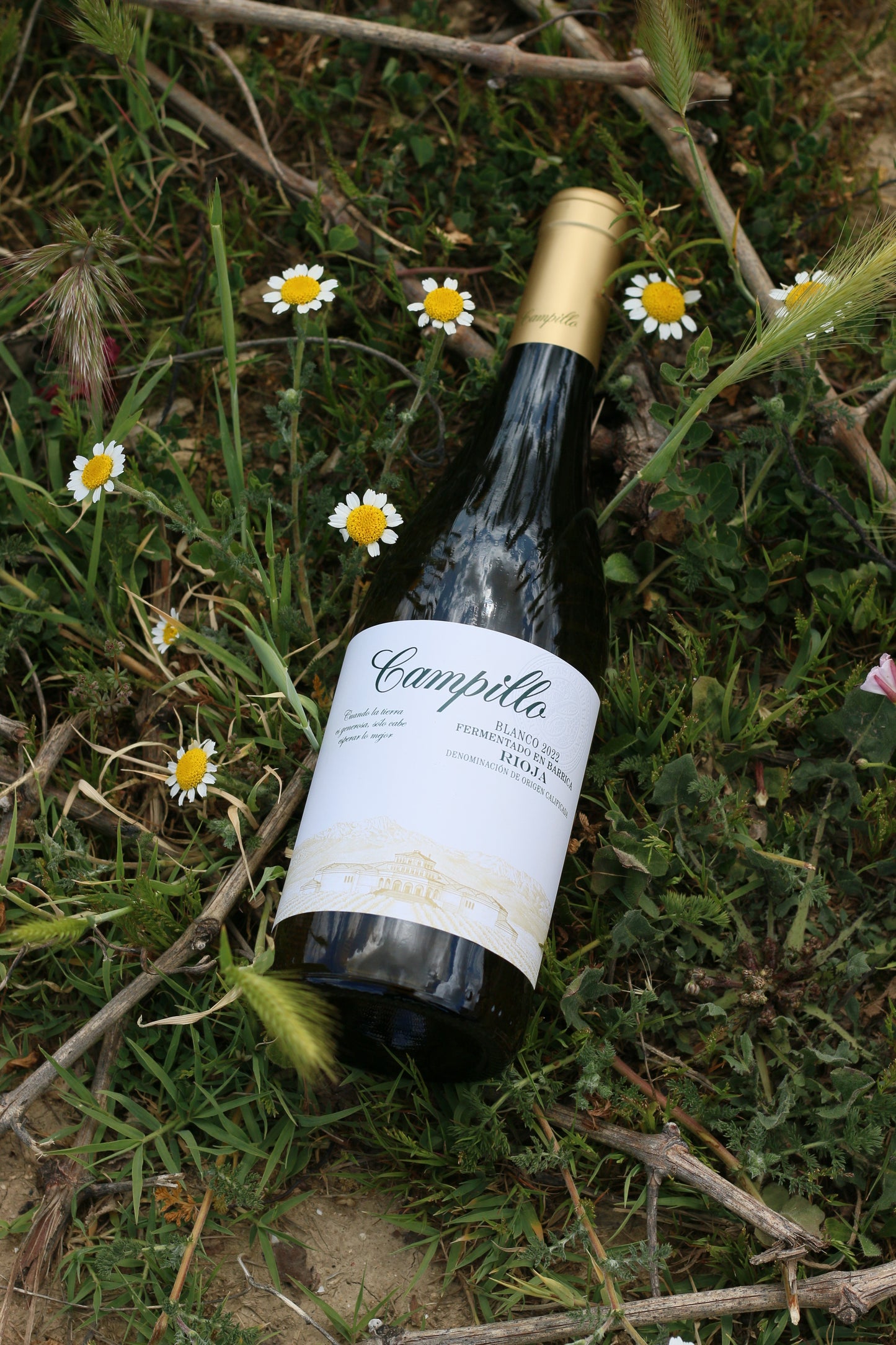 2 btl Campillo Blanco Fermentado- Decanter 90 points